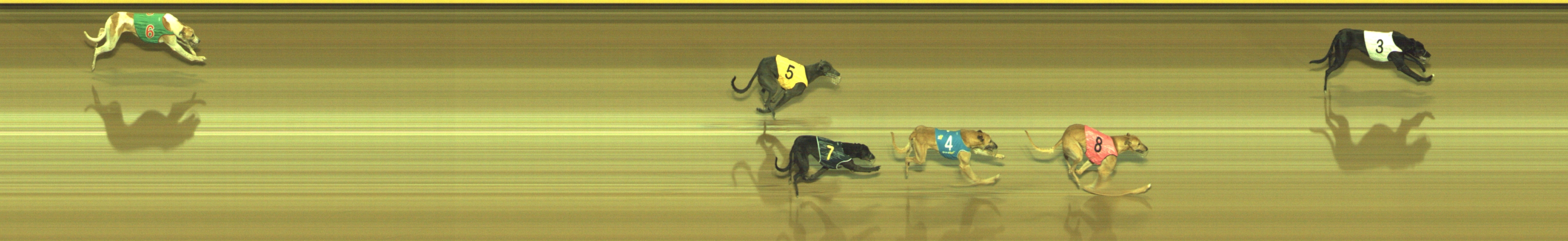 Photo finish for Geelong Race 9