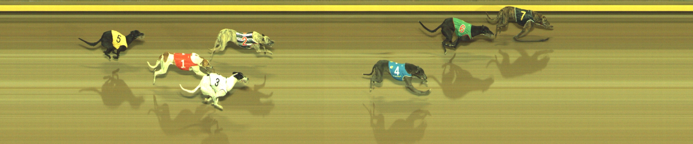 Photo finish for Geelong Race 10