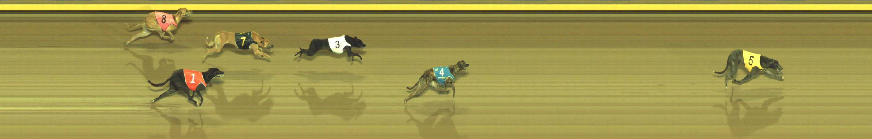 Photo finish for Geelong Race 11