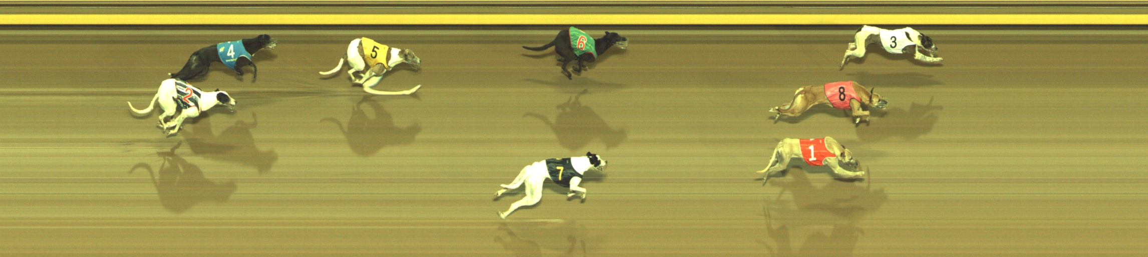 Photo finish for Geelong Race 12