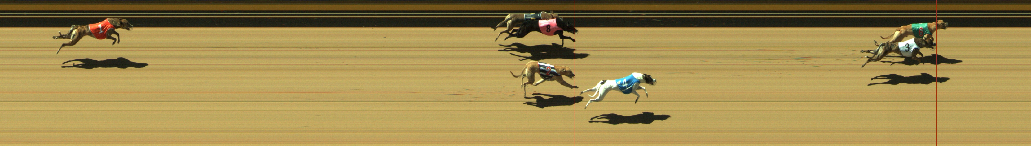 Photo finish for Geelong Race 1