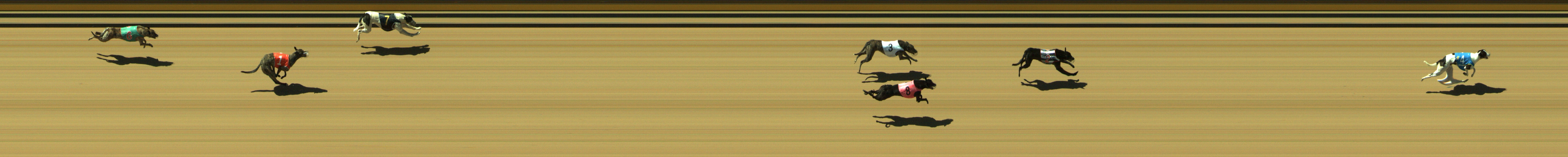 Photo finish for Geelong Race 2