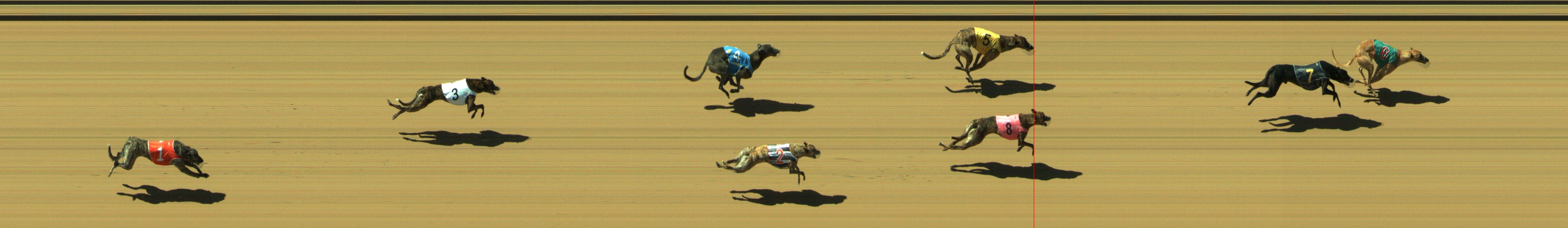 Photo finish for Geelong Race 3