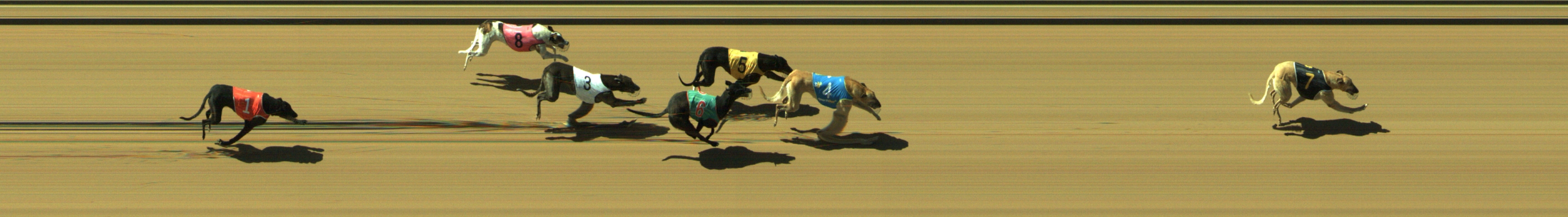 Photo finish for Geelong Race 4