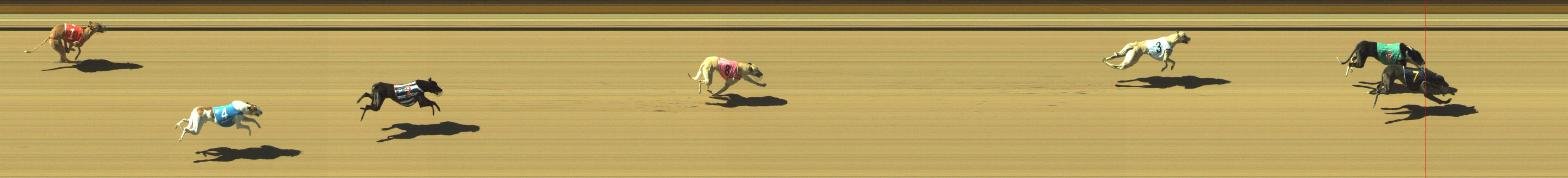 Photo finish for Geelong Race 6