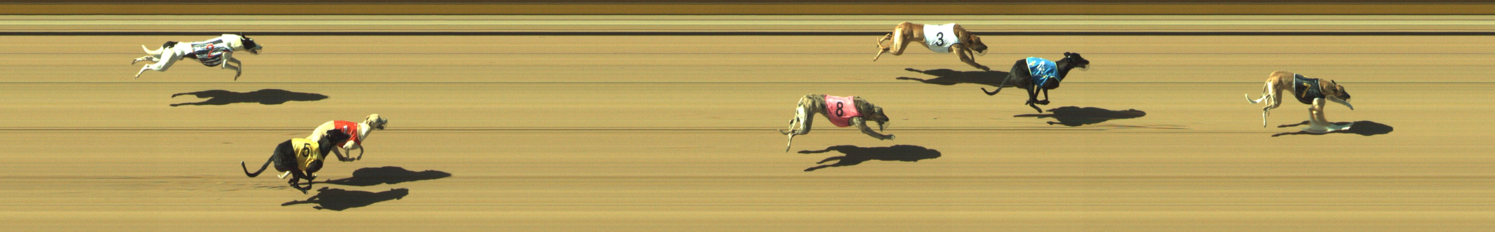 Photo finish for Geelong Race 7