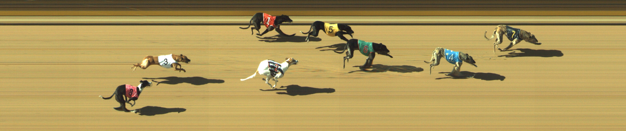 Photo finish for Geelong Race 8