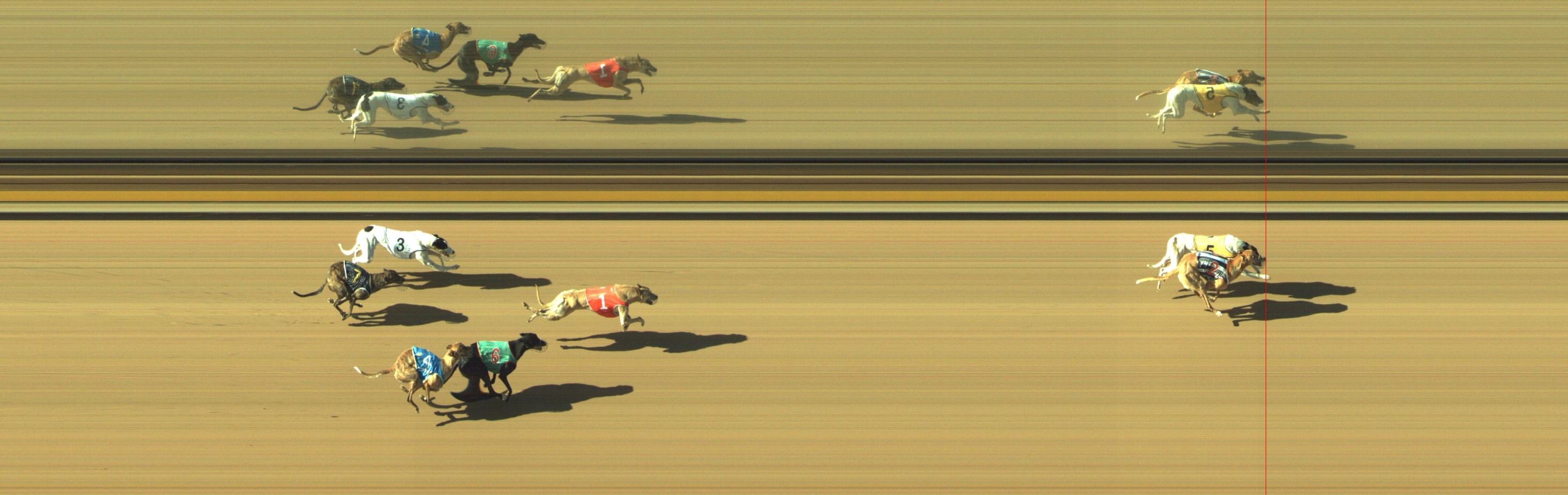 Photo finish for Geelong Race 9