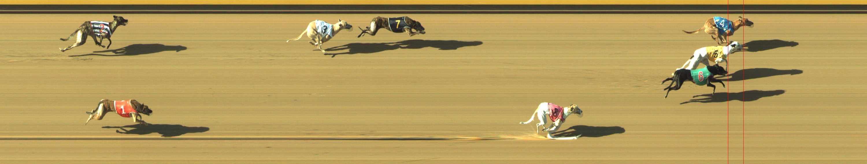 Photo finish for Geelong Race 10
