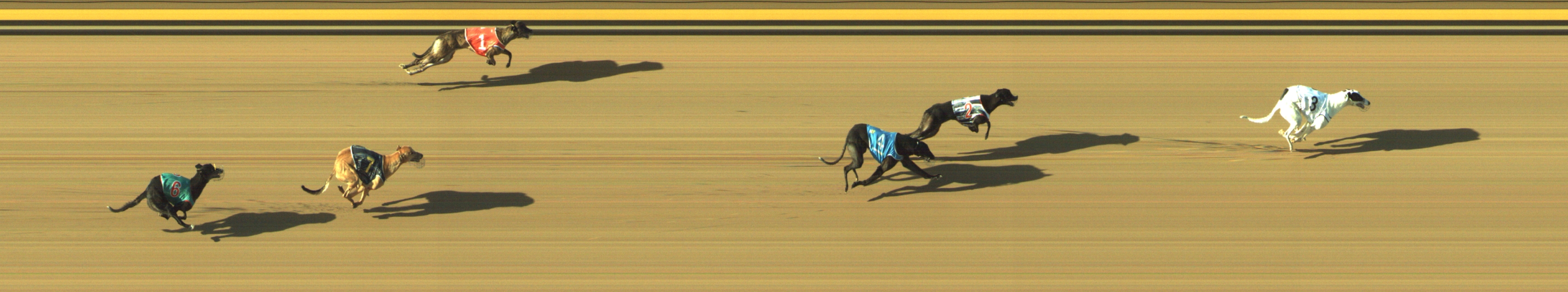 Photo finish for Geelong Race 11