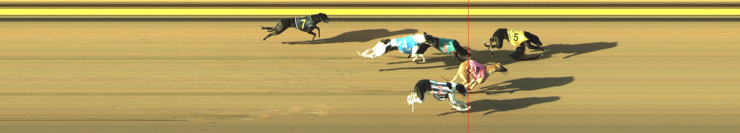 Photo finish for Geelong Race 12