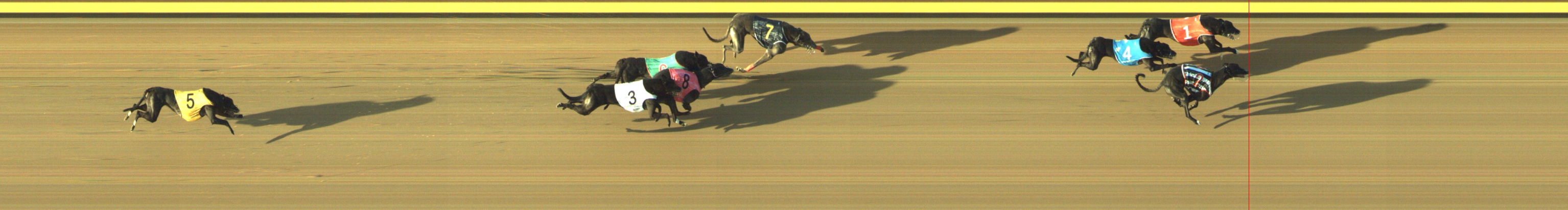 Photo finish for Geelong Race 13