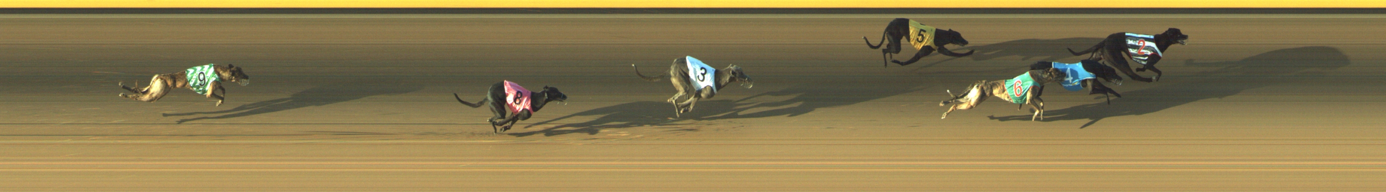 Race result finish photo