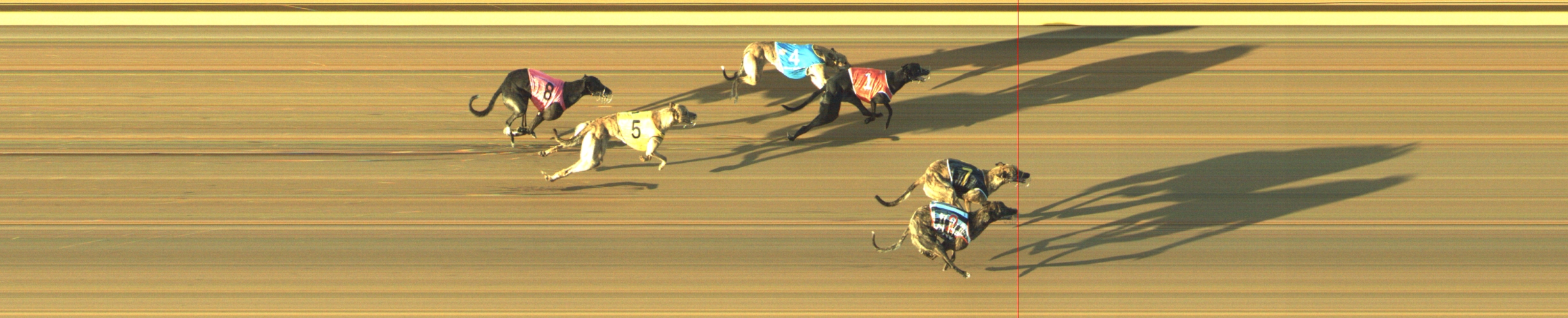 Photo finish for Geelong Race 2