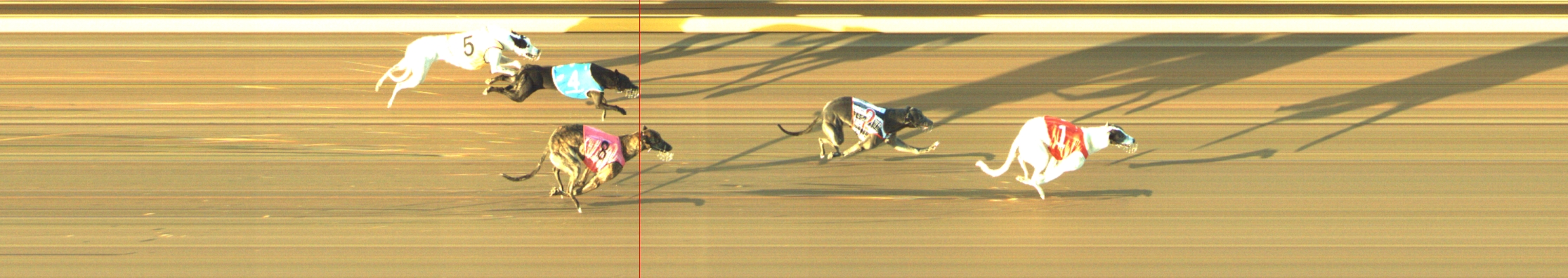 Photo finish for Geelong Race 3