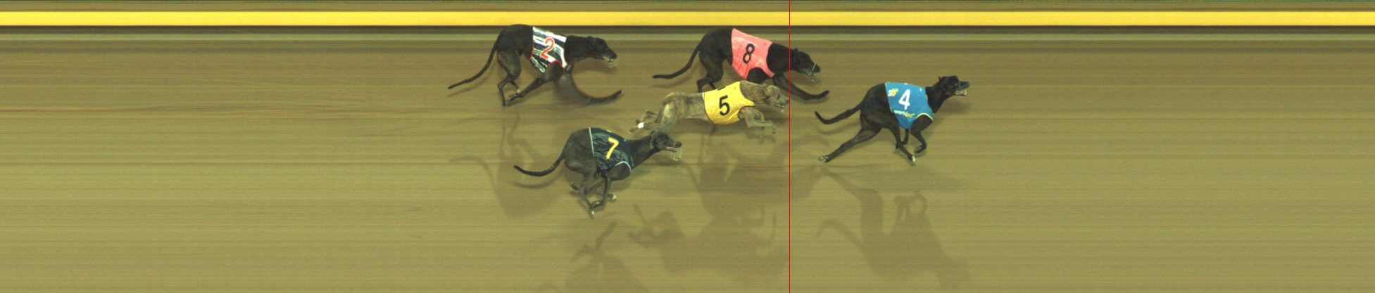 Photo finish for Geelong Race 4