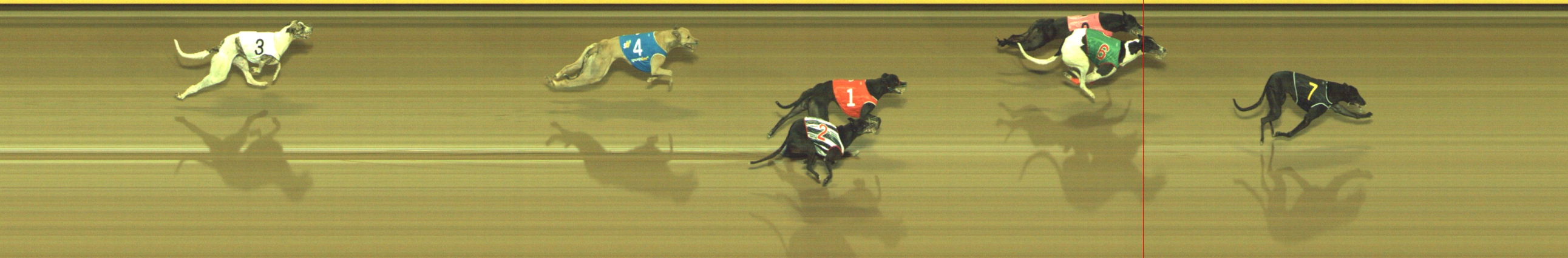 Photo finish for Geelong Race 5