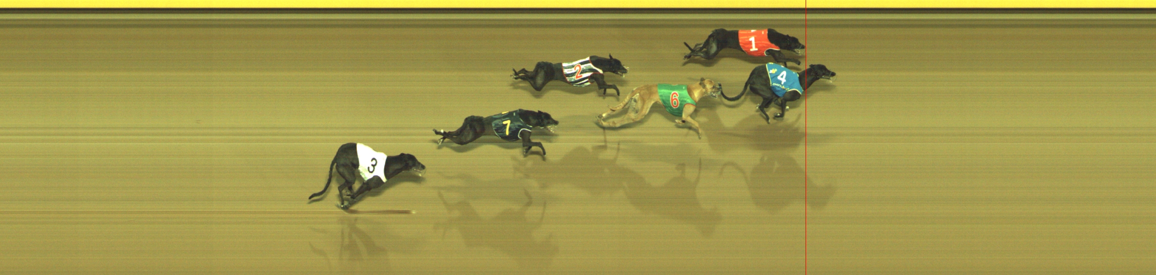 Photo finish for Geelong Race 7