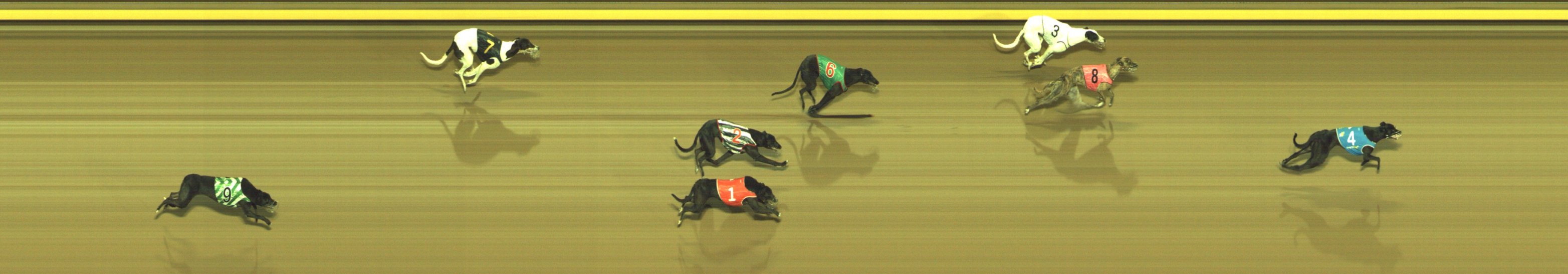 Photo finish for Geelong Race 8