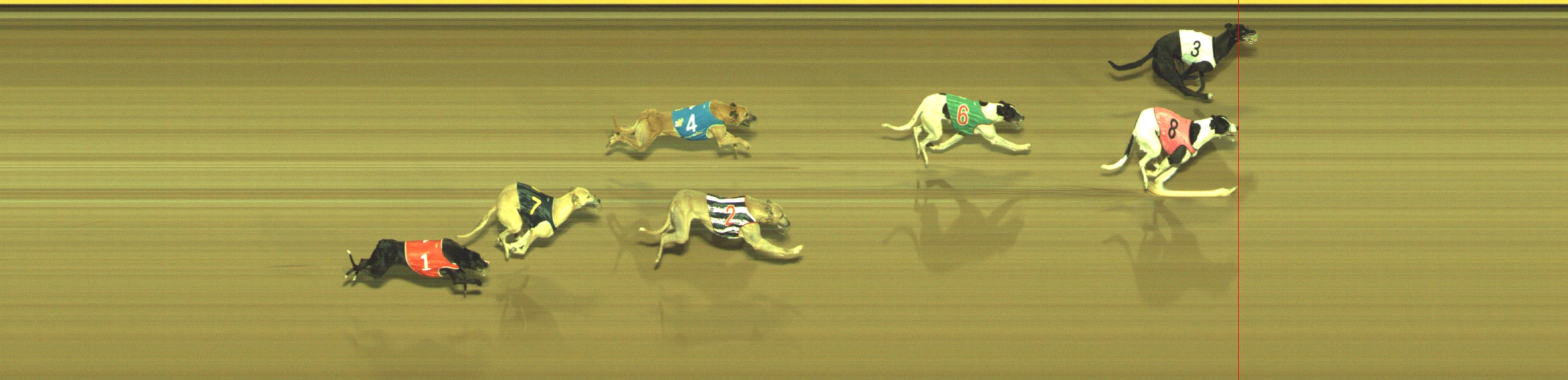 Photo finish for Geelong Race 9