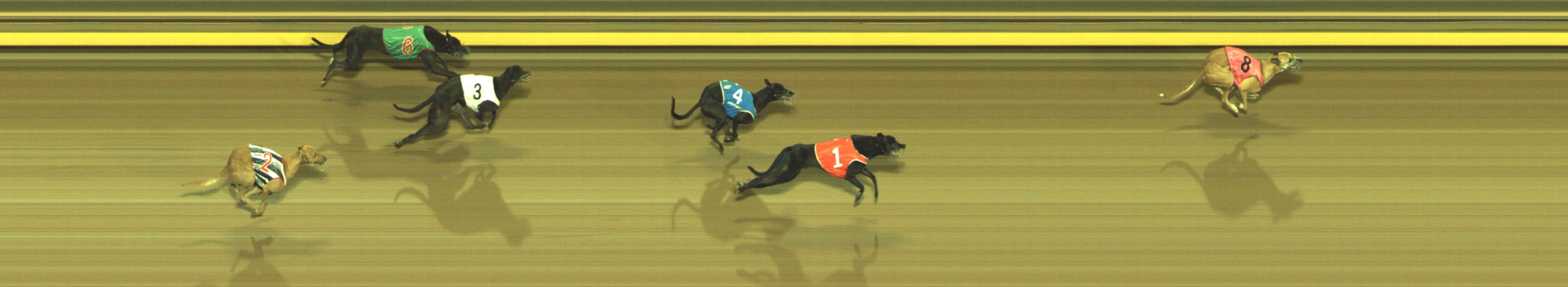Photo finish for Geelong Race 10