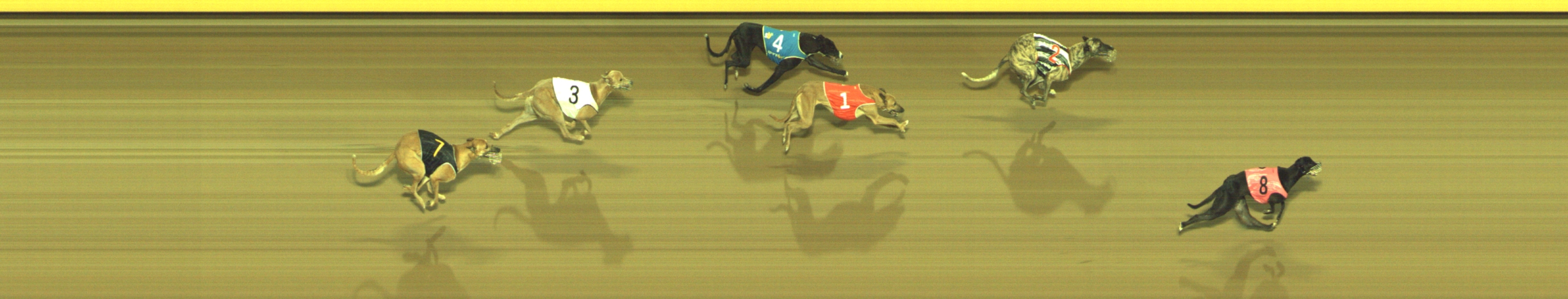 Photo finish for Geelong Race 11