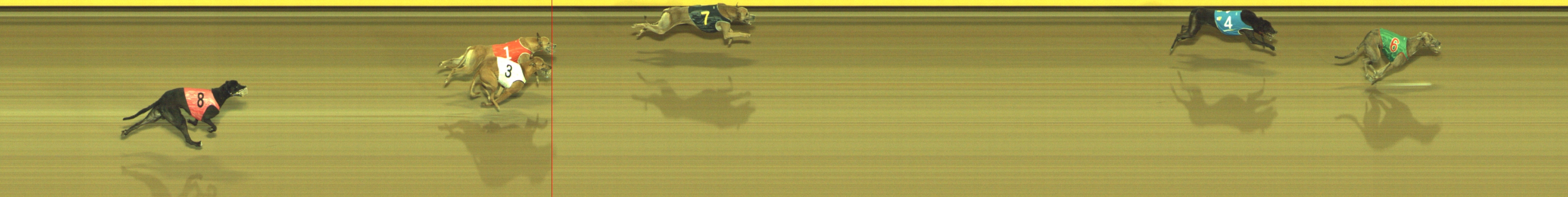 Photo finish for Geelong Race 12