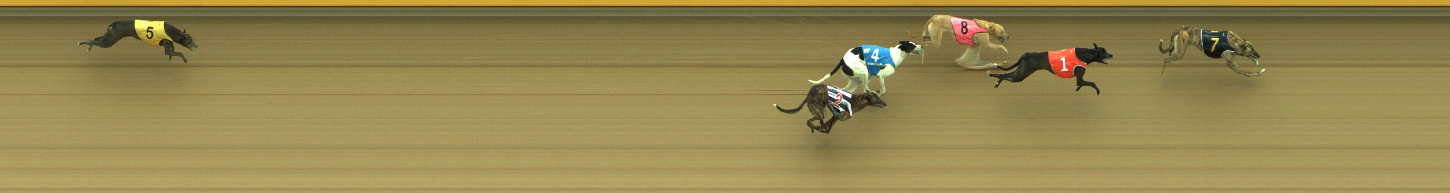 Photo finish for Geelong Race 2