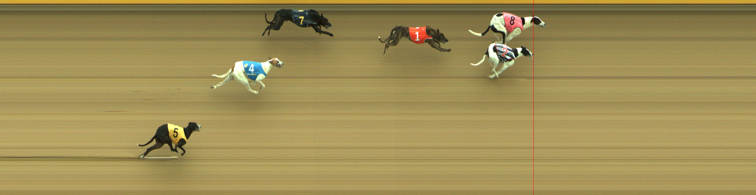 Photo finish for Geelong Race 3