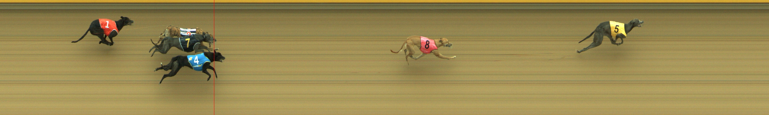 Photo finish for Geelong Race 4