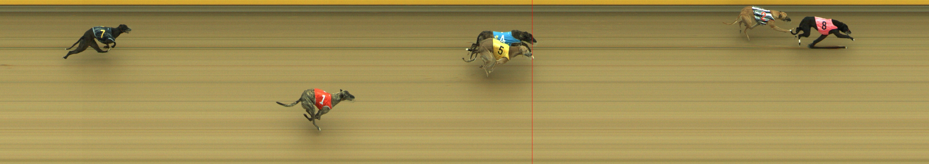 Photo finish for Geelong Race 5