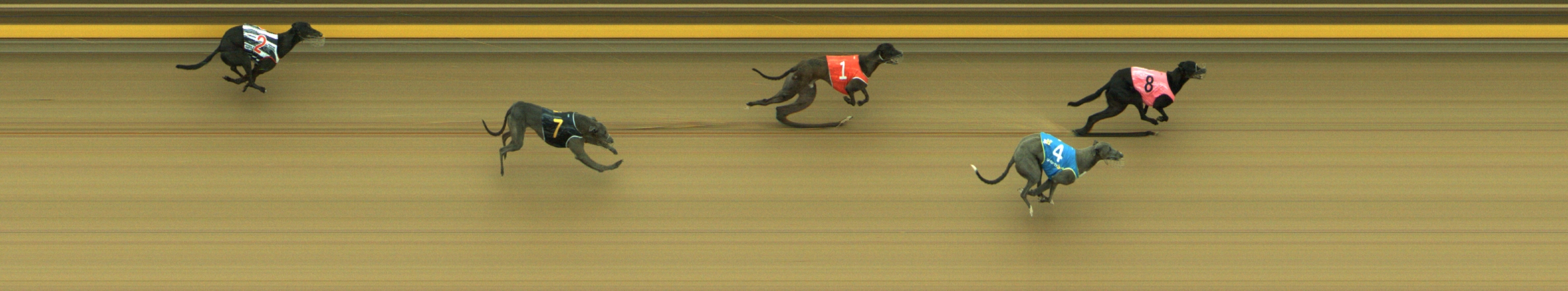 Photo finish for Geelong Race 6