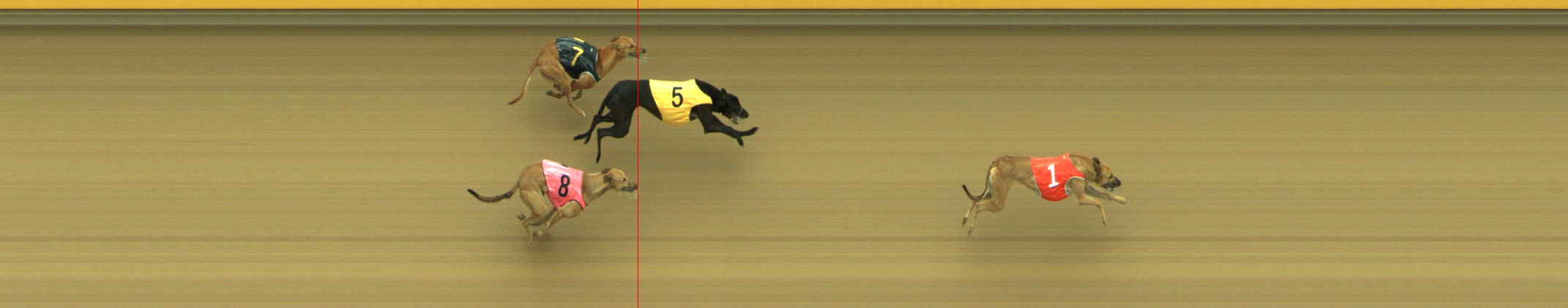 Photo finish for Geelong Race 7