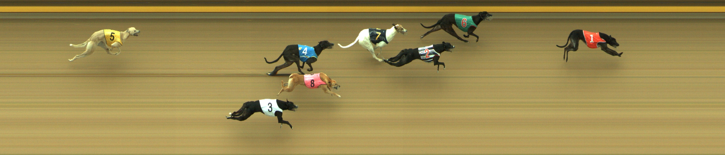 Photo finish for Geelong Race 8