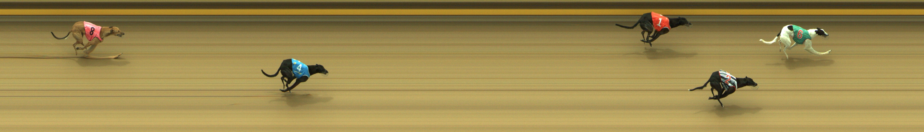 Photo finish for Geelong Race 9