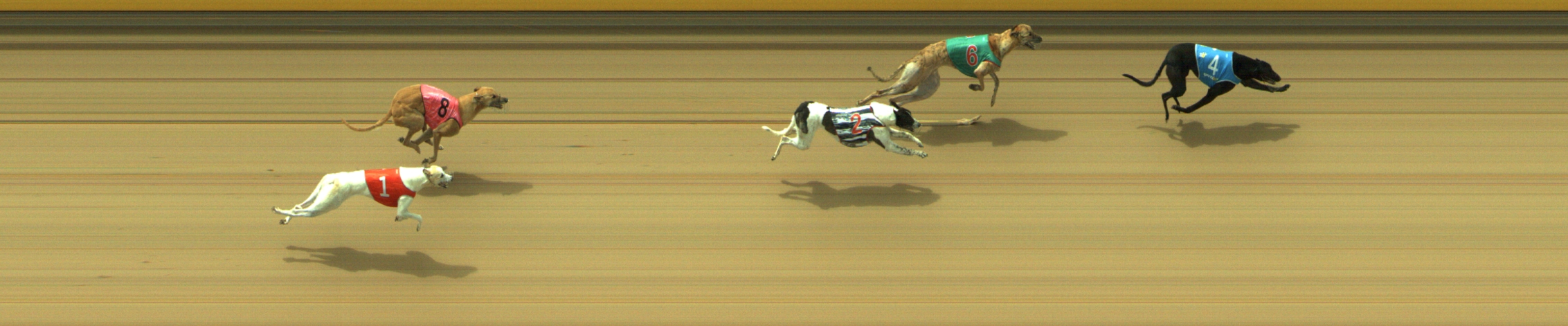 Photo finish for Geelong Race 10