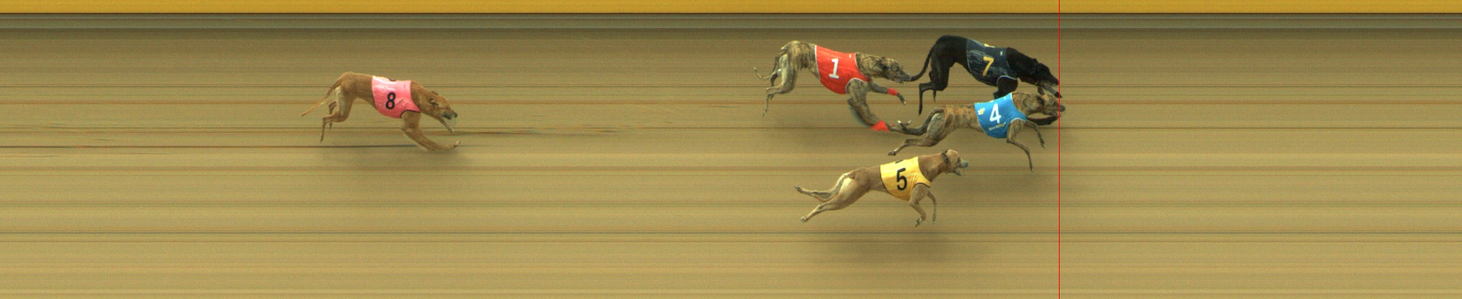 Photo finish for Geelong Race 11
