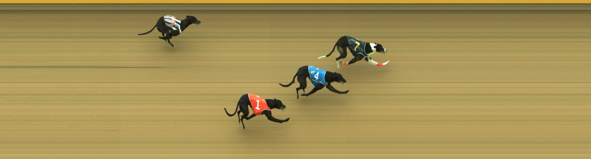 Photo finish for Geelong Race 12