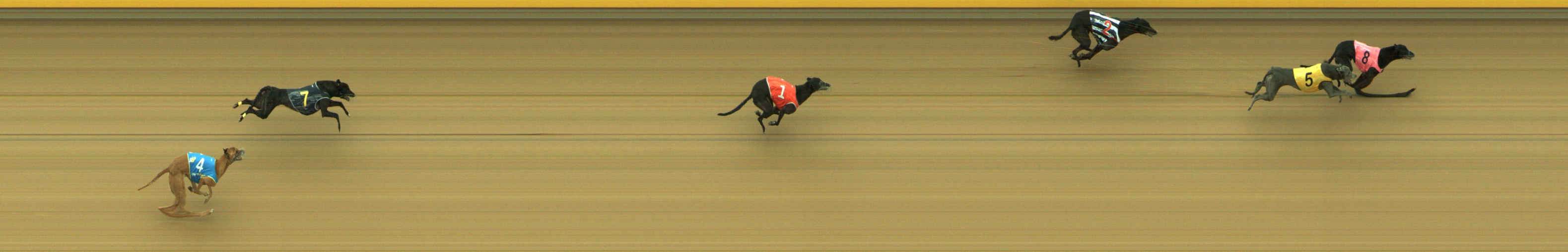 Photo finish for Geelong Race 13