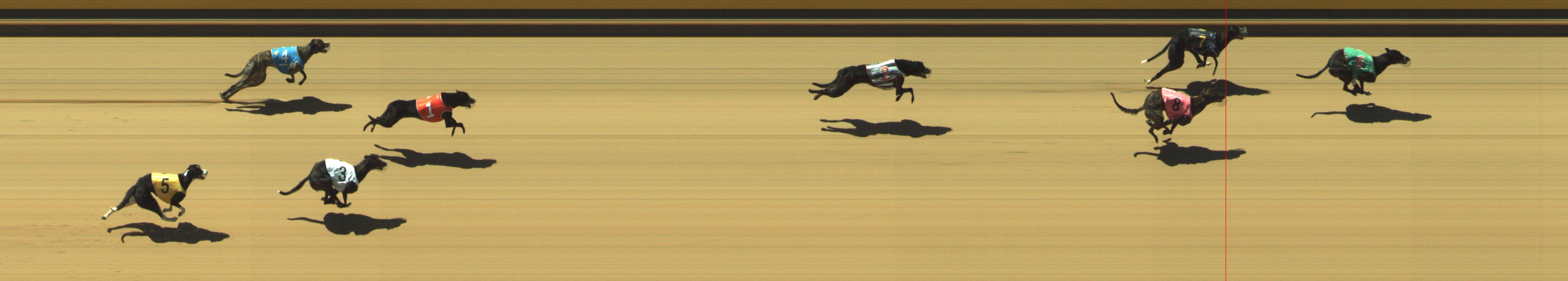 Race result finish photo