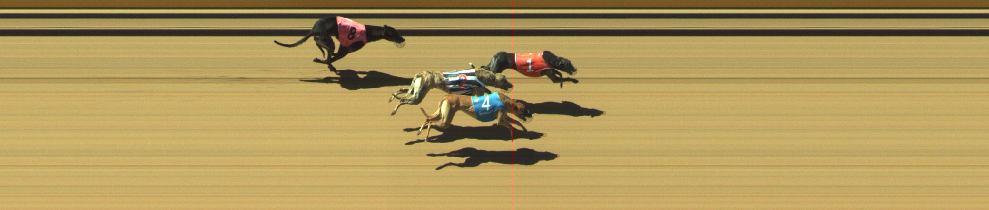 Photo finish for Geelong Race 3