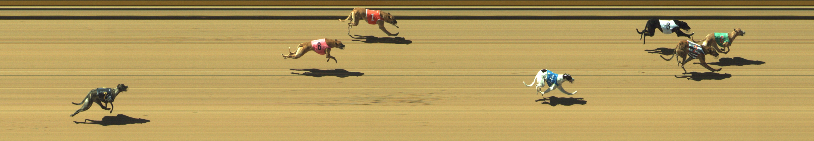 Photo finish for Geelong Race 4