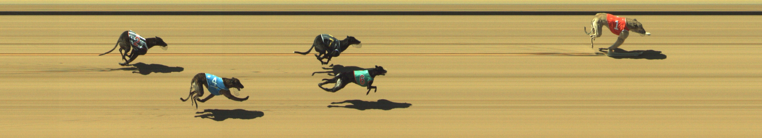 Photo finish for Geelong Race 5