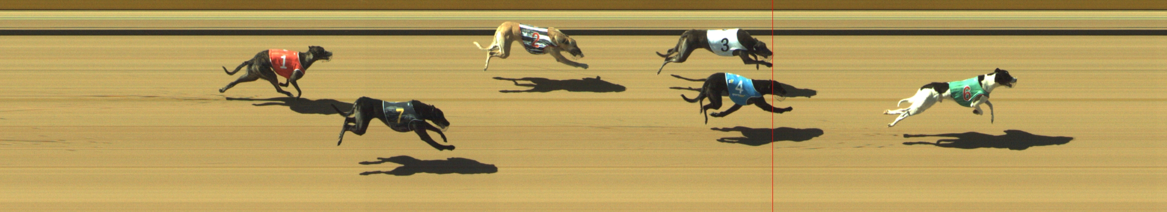 Photo finish for Geelong Race 6