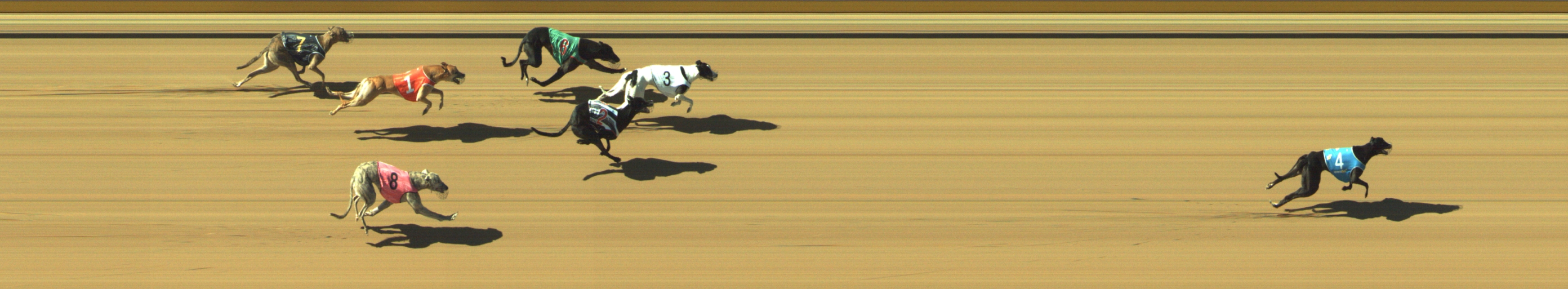 Photo finish for Geelong Race 7