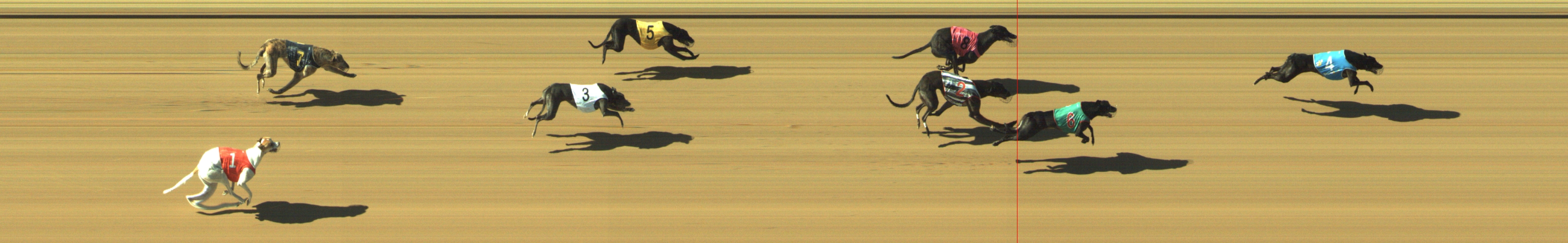 Photo finish for Geelong Race 8