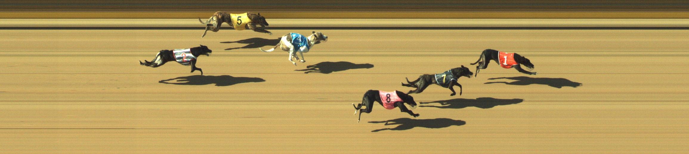 Photo finish for Geelong Race 9