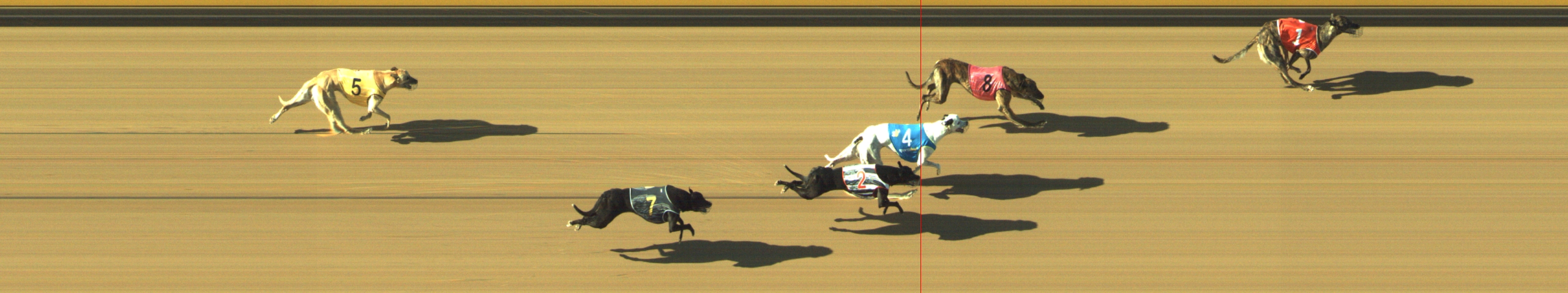 Photo finish for Geelong Race 10