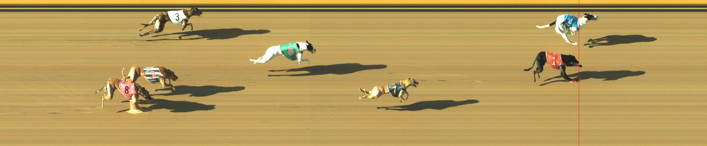Photo finish for Geelong Race 11
