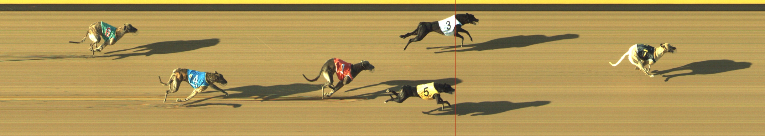 Photo finish for Geelong Race 12